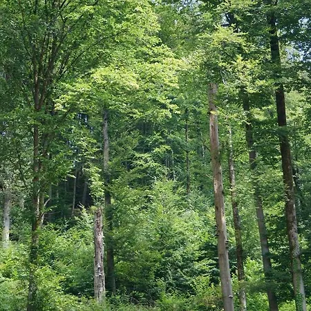Gaestehaus Fuer Monteurwohnen Oberachtel