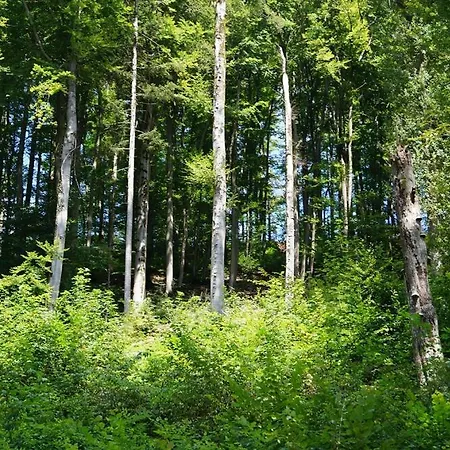 Gaestehaus Fuer Monteurwohnen Oberachtel Apartmán